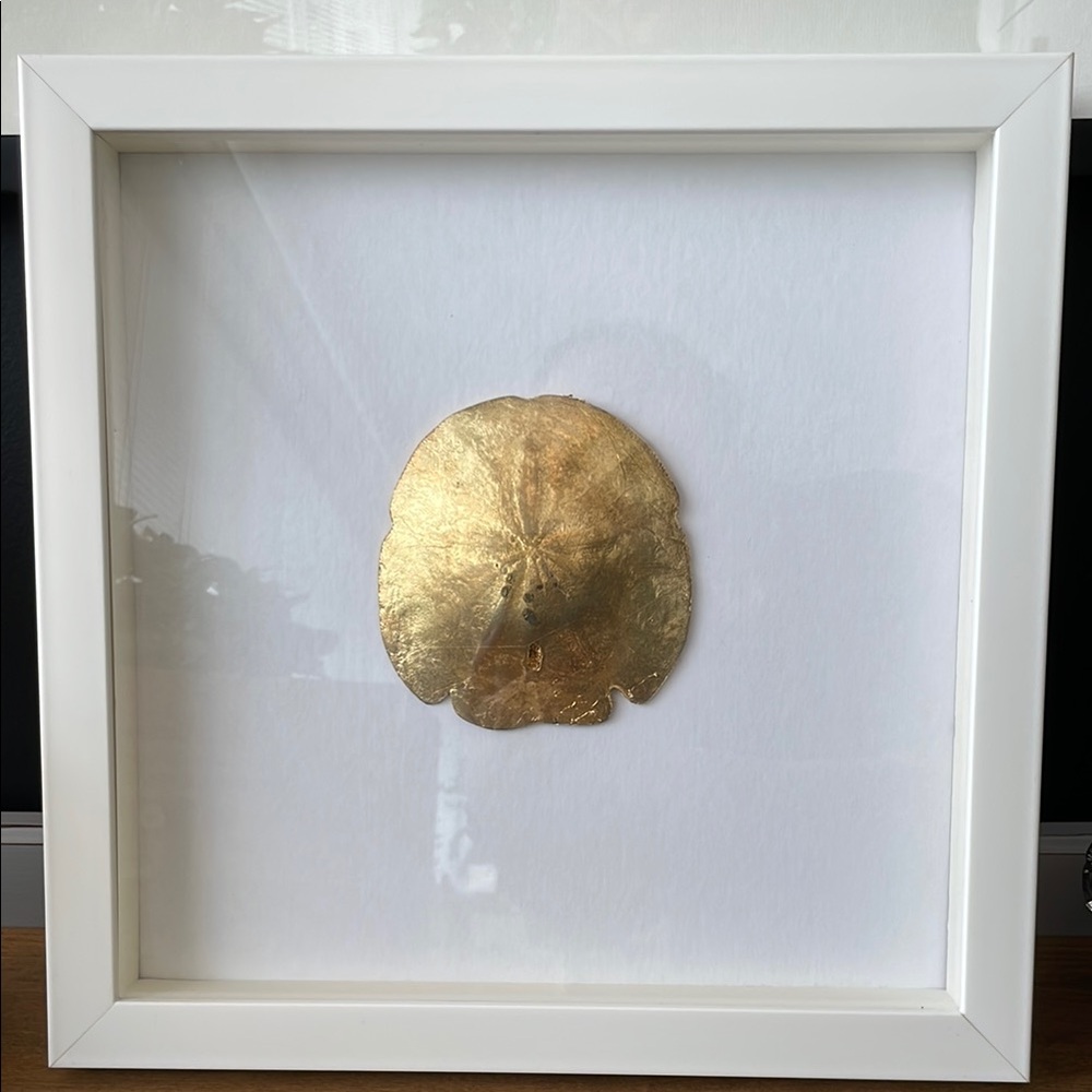 Shadow Boxed Gilt Sand Dollar White Wooden Frame EUC